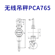  無(wú)線(xiàn)吊秤PCA765